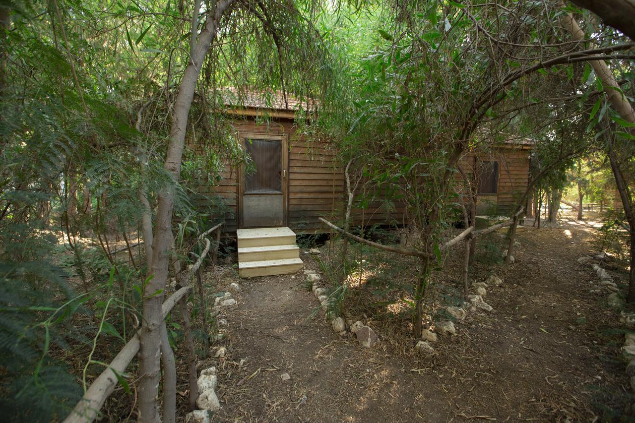 Sharhabil Bin Hasnah Ecopark Hotel Qulay'at Exterior photo