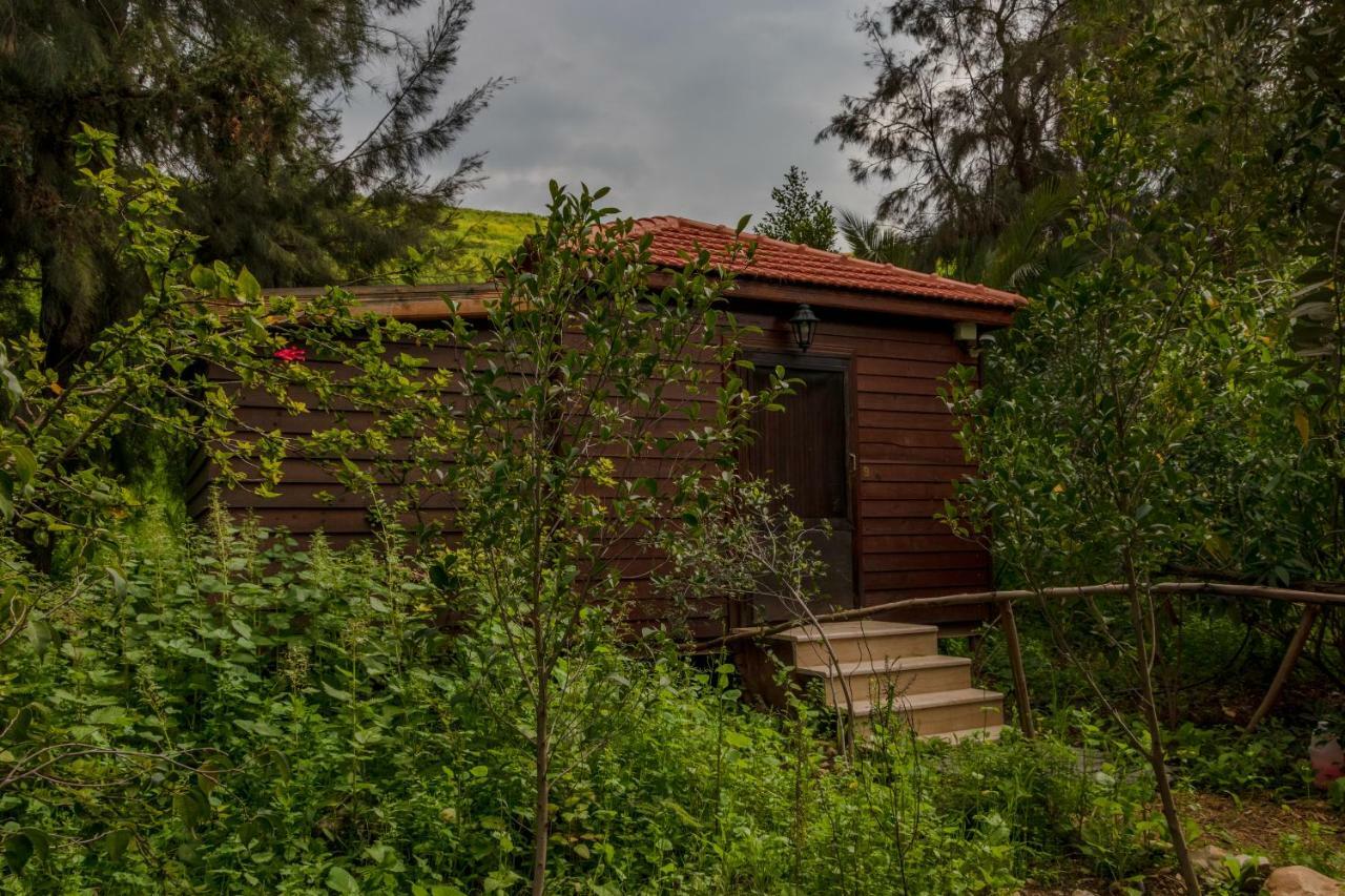 Sharhabil Bin Hasnah Ecopark Hotel Qulay'at Exterior photo